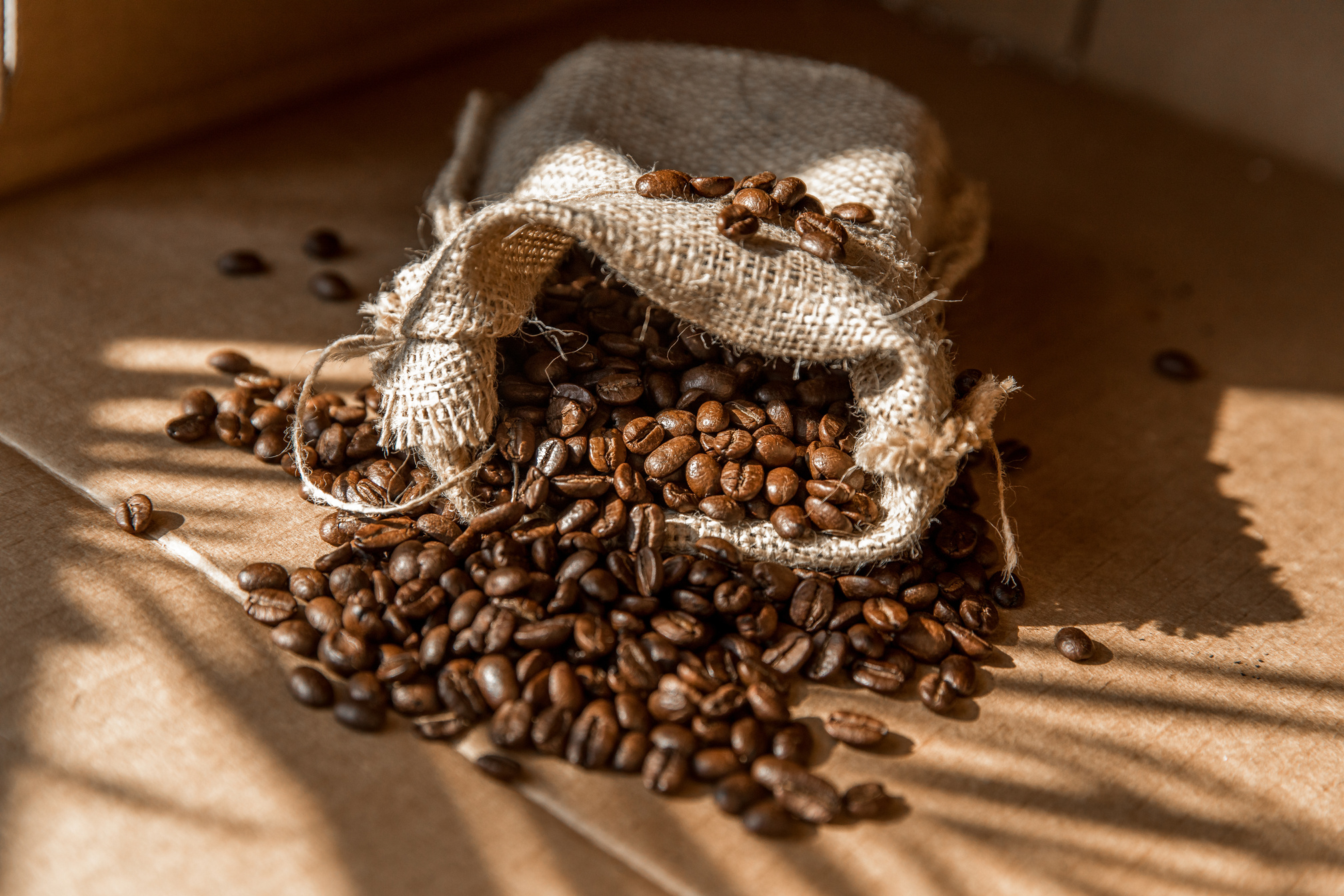 Close-up of Coffee Beans Spilling from a Bag