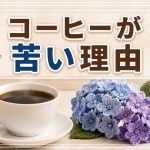 珈琲が苦くなる理由は？？これでした。
